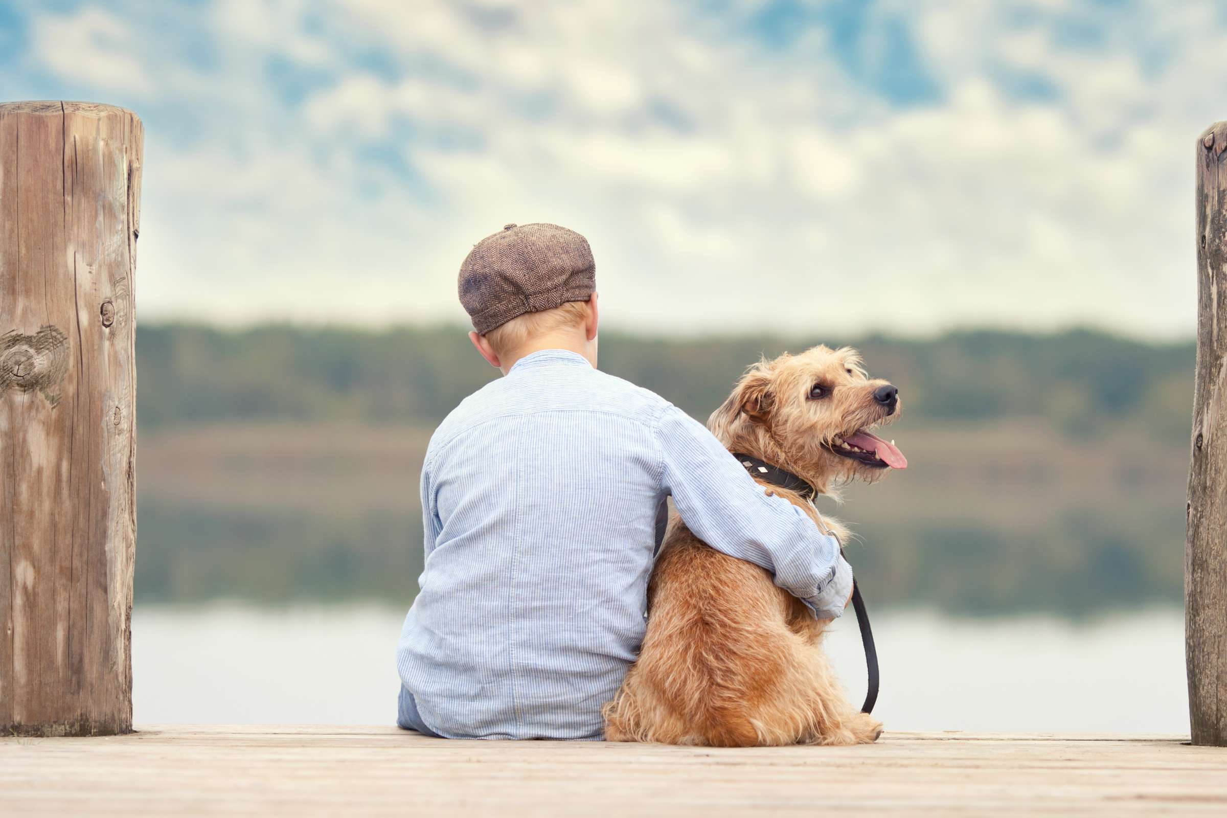 Hundekrankenversicherung - Junge mit Hund auf dem Steg